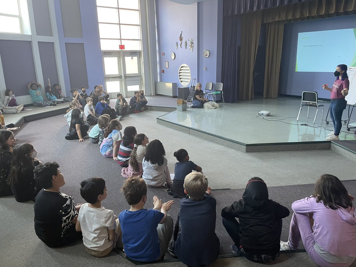MrsPeterson3rd's tweet photo. My favorite activity of the year! My dog Gemini comes in, and the kids guess her breeds based on her #traits. A great wrap-up to our parents and offspring unit! @sps_bates @SalemSchoolsk12 https://t.co/enyJEl6OTL