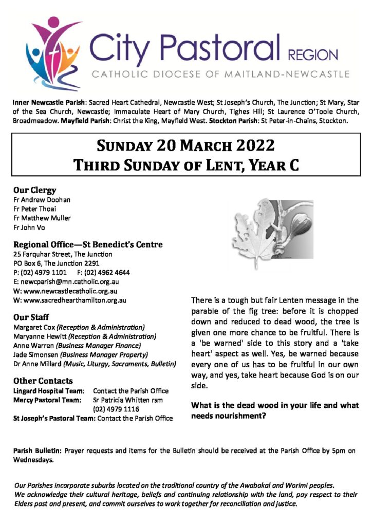 St Benedict's Parish tweet media