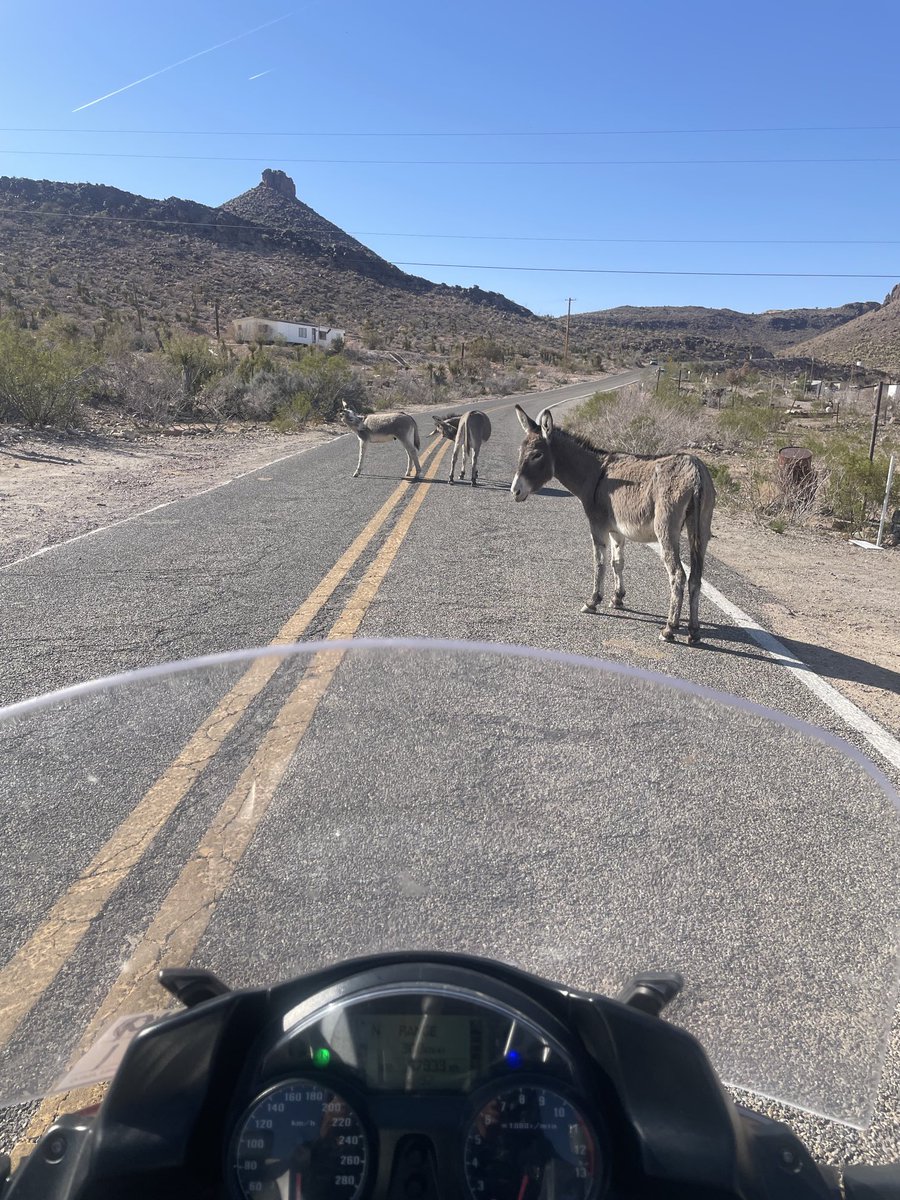 Corey Loessin 🧢 tweet media