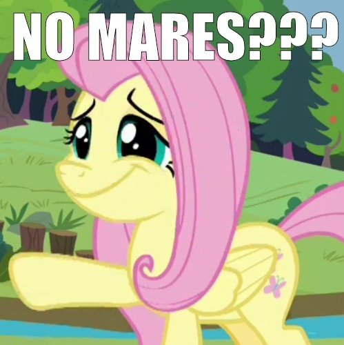 Fluttershy Quotes (Real) (@fluttershyquote) on Twitter photo 