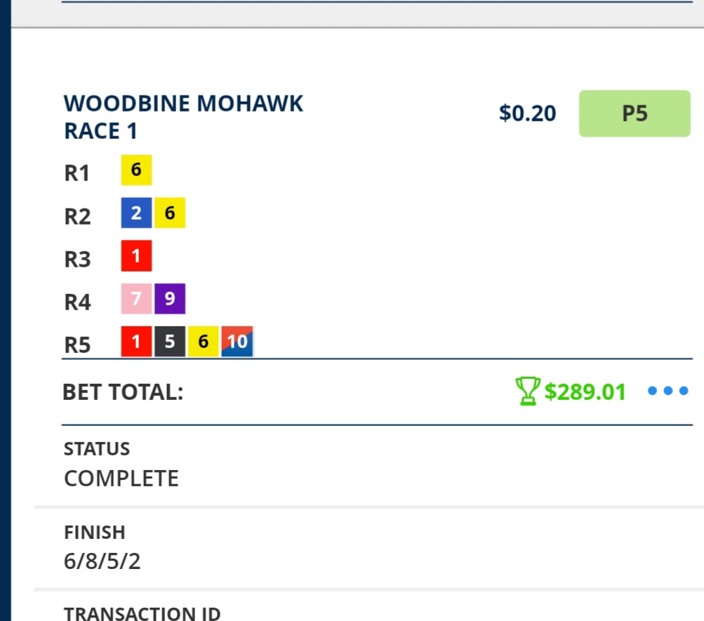 ridert08's tweet photo. I love @WoodbineSB https://t.co/bm1HDraKNk