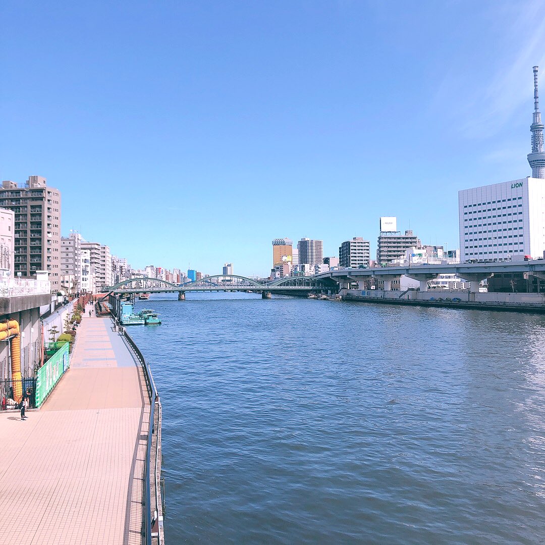mariko_y_illust's tweet photo. おはようございます☀
朝のお散歩です☺️
#Tokyo #Japan #Sumida_river https://t.co/USvhJlY0Ug