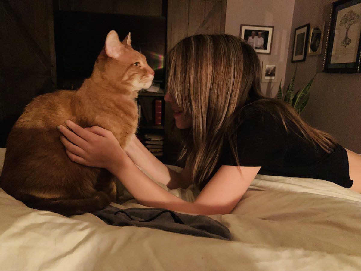 saragoldrickrab's tweet photo. Love these two! 

#PellCat https://t.co/lVXkQA5S7P