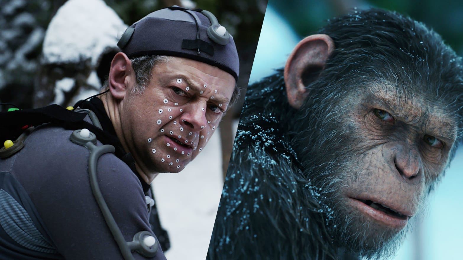 Happy Birthday, Andy Serkis!  