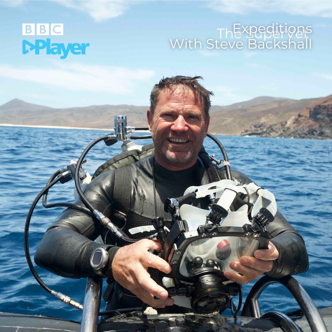 BBCPlayer's tweet image. What's new on @BBCPlayer this week? Explore coastal Britain, heartwarming pet stories, design tricks, and more!

Take your pick and watch now on BBC Player: bbcplayer.app.link/SpvKbwmUZnb

#BBCPlayer #NewReleases #WhatsNewOnBBCPlayer