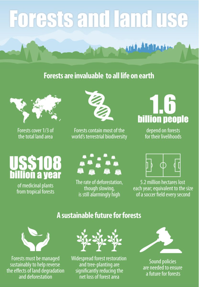 UNBiodiversity's tweet image. Our future depends on forests. 🌍🌱

Forests are vital for the well-being of people and our planet.

Earth&apos;s forests:
🌲 provide sustenance and livelihoods
🌴 host 3/4 of terrestrial #biodiversity 
🌳 store carbon
🌱 and so much more!

Learn more for #IntlForestDay via @FAO