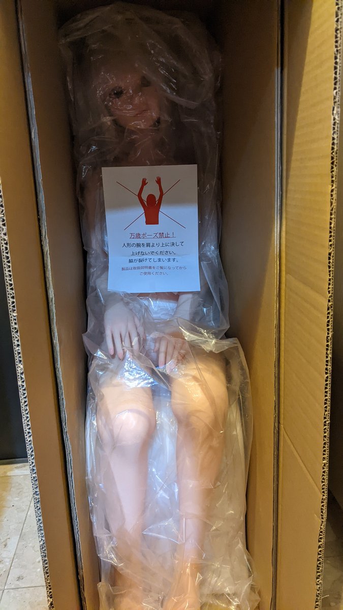 berry cocoさんお迎えいたしました！わーい！ #ラブドール #オリエント工業