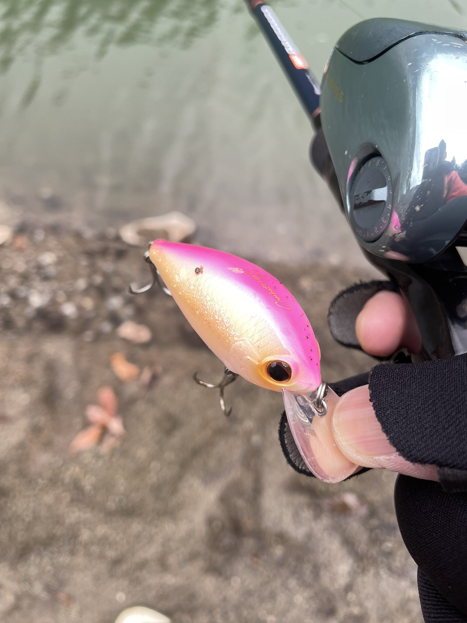 ぱーしばる 最小金冠アングラー 船が中止になったので朝からバス釣り 気温は低いけど水温は10 ライズも何回か見かけてルアーも救出と収穫はあったけど初バスはおあずけ 釣り好きな人と繋がりたい バス釣り ブラックバス T Co Scy4rl6zhb