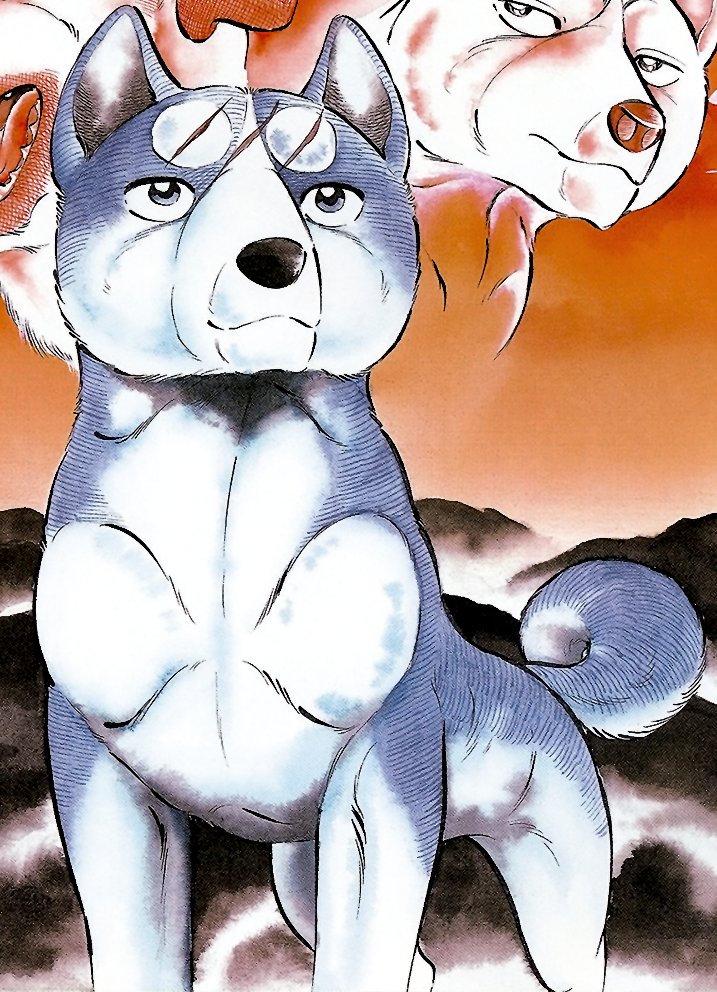 гинга нагаребоши гин. смит гинга. серебряный клык гин. лешенда о серебряном улыке уиди уид. легенда о серебряном клыке уиде.