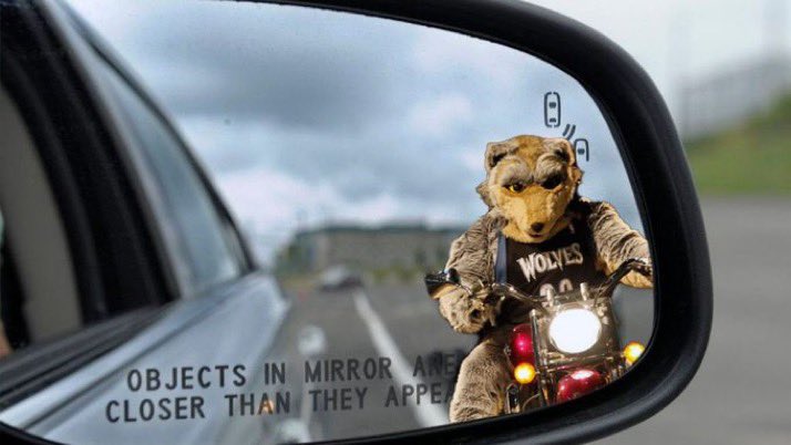 Canis Hoopus tweet media