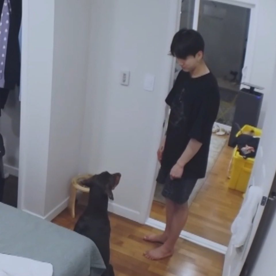 randomjungkook's tweet photo. jungkook and bam staring at each other https://t.co/lCvxWat5LM