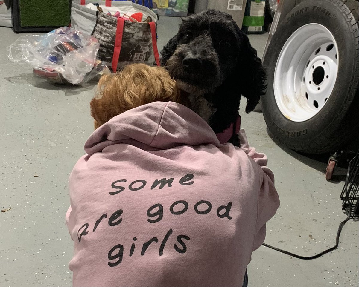 Congratulations Willow!
Please give a warm #DogsofTwittter welcome to Willow’s new mum, <a href="/_mads24/">Mads</a>. #ADOPTED #GotchaDay 
#A2ARescue
