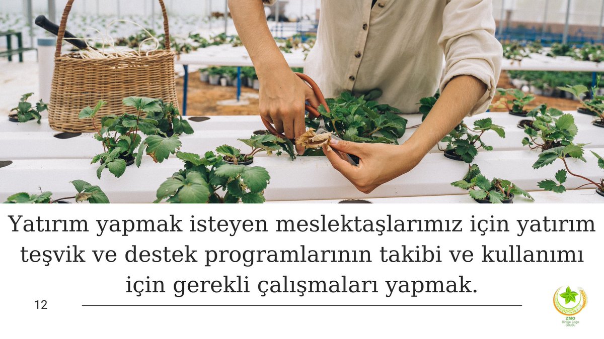|#ZMO'da #BirliğeÇağrı
#Yatırım yapmak isteyen meslektaşlarımız için yatırım #teşvik ve #destek programlarının takibi ve kullanımı için gerekli çalışmaları yapmak.