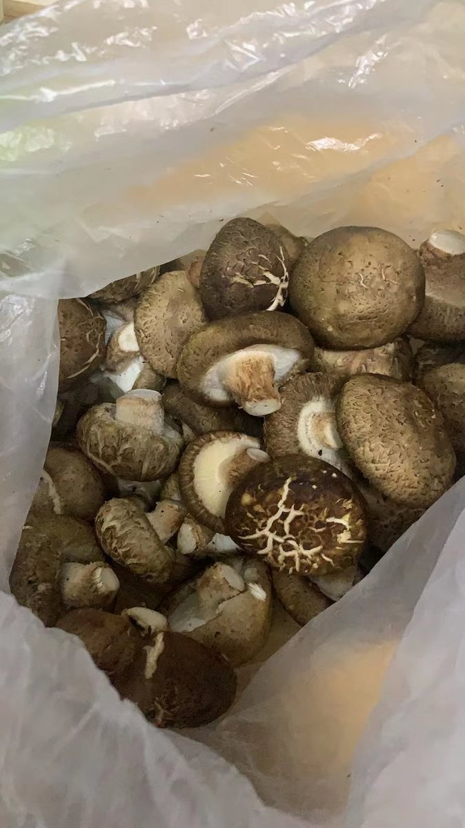 隔离生活，一大早社区送来的菜，早知道就找个会烧饭的男朋友了，这样我就可以躺吃了 https://t.co/JyXKlecZc2