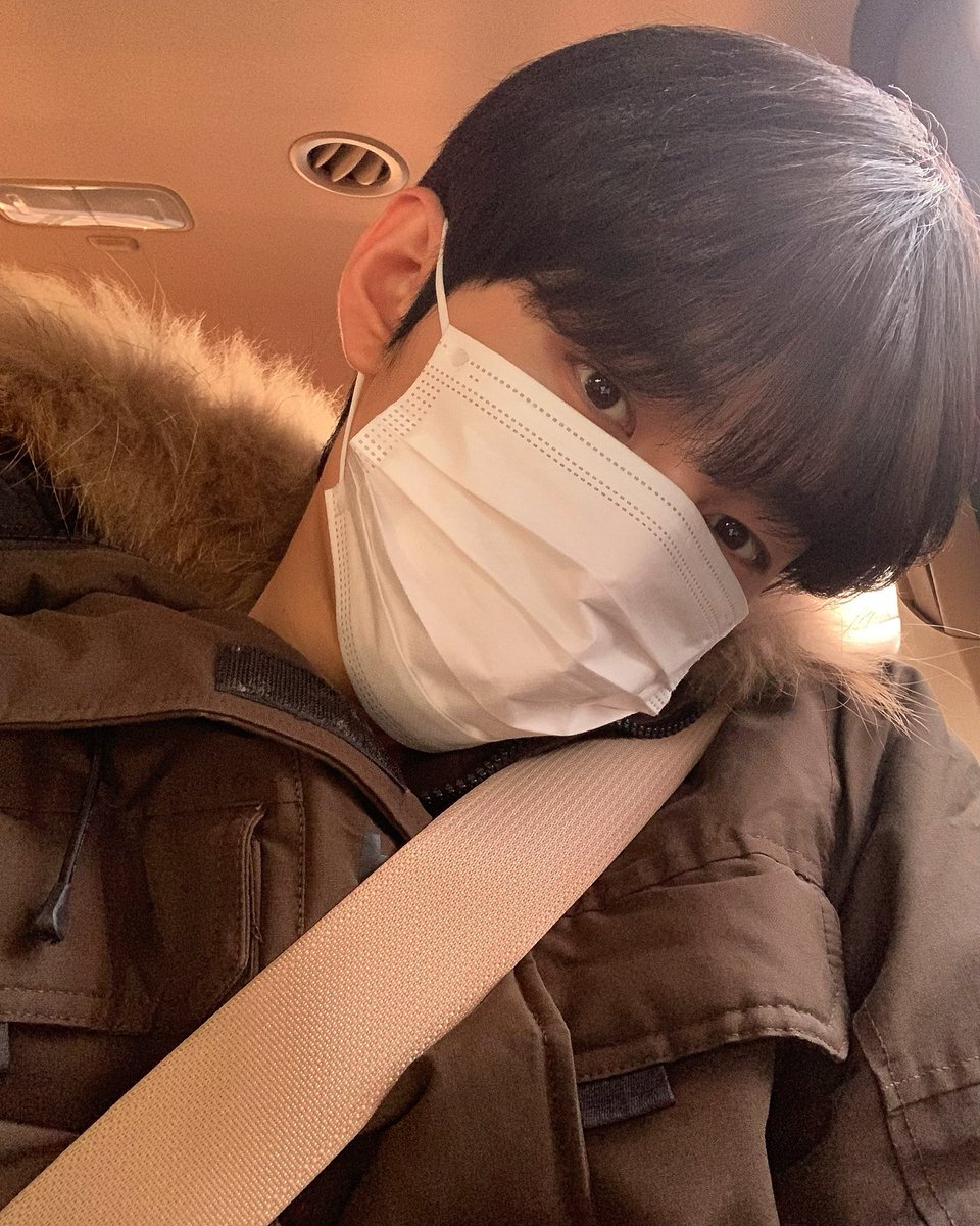 miaedes's tweet photo. 내가 쭈아하는 안전벨트 맨 얌전고양이🫶 https://t.co/9L6YU37pS8