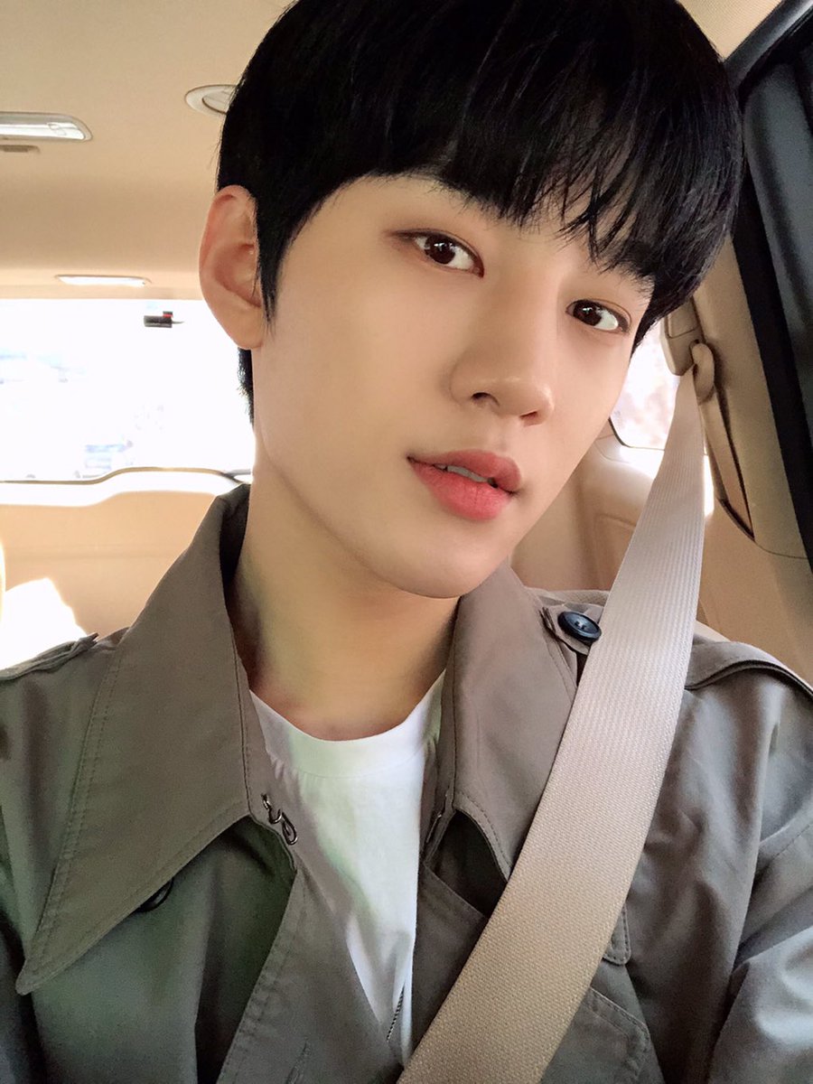 miaedes's tweet photo. 내가 쭈아하는 안전벨트 맨 얌전고양이🫶 https://t.co/9L6YU37pS8