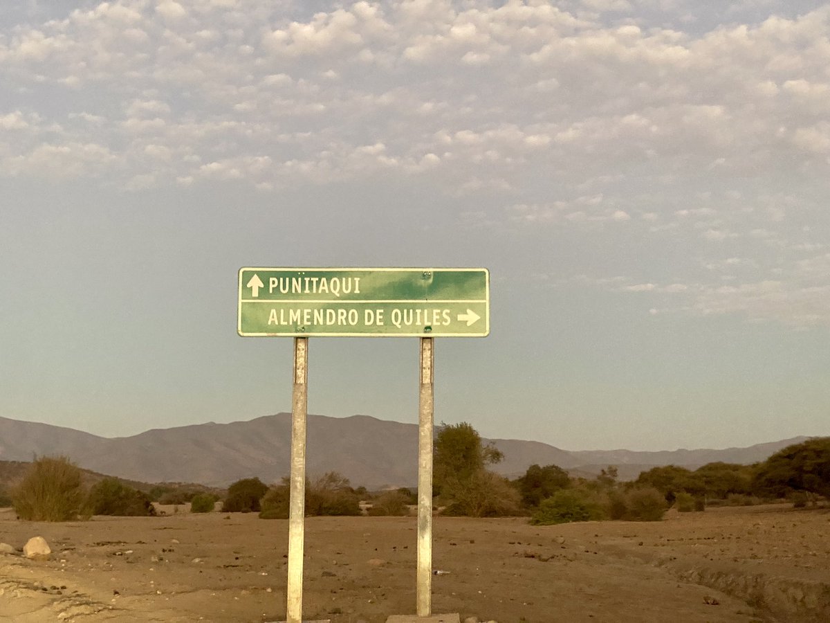 oarancib's tweet photo. Pasado el sector las Tunas   Hay un letrero almendro de quiles , hay varios petroglifos https://t.co/8USeIc1PUA
