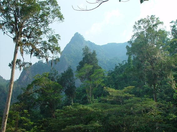 Earth's Natural Beauty - each day sharing a reminder of the miracle of our planet

Matagalpa, Nicaragua