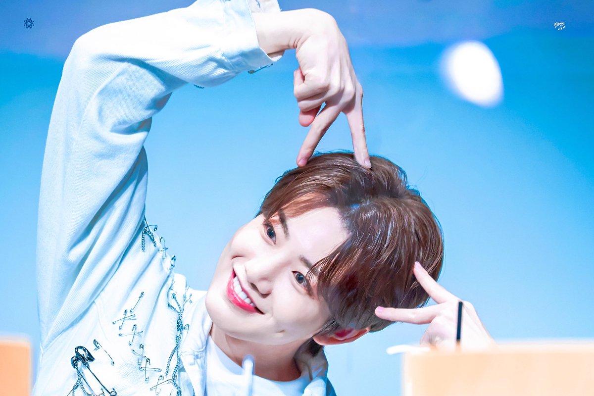 junkyu0909_net's tweet photo. [HQ]
220313
냥<33
#treasure    #트레저    #준규 #김준규 #JUNKYU #ハンサムコアラ https://t.co/0C64V5avua