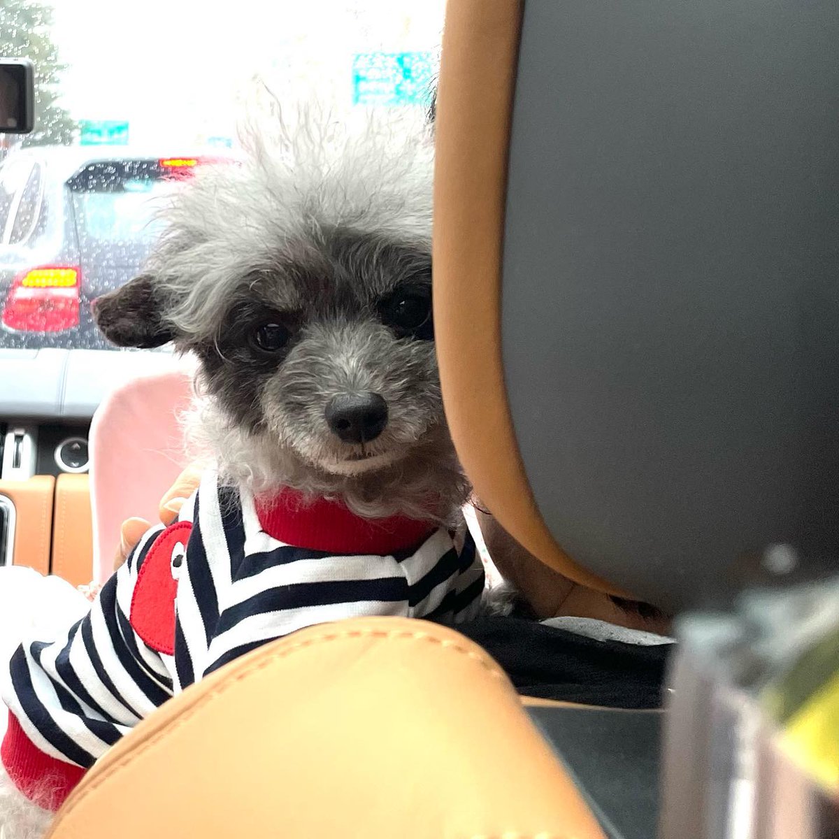 SNSD_0805's tweet image. [INSTAGRAM] dooeyuri:

용맹해졌네 뚜이 ?!

#dooe

instagram.com/p/CbRNz3rBeKv/