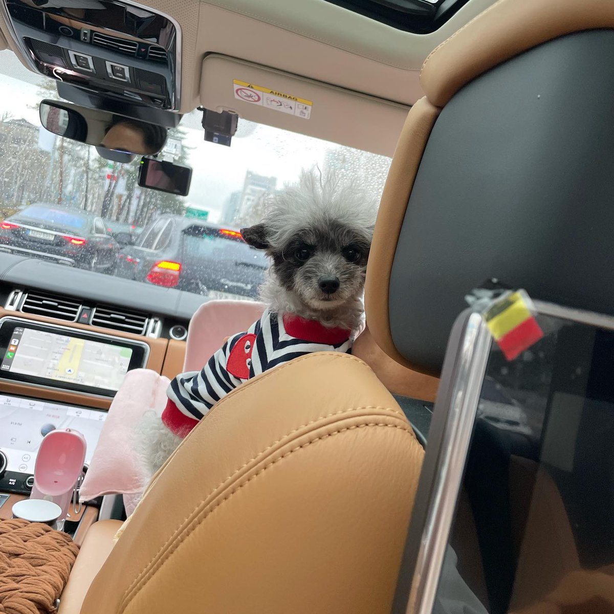 SNSD_0805's tweet image. [INSTAGRAM] dooeyuri:

용맹해졌네 뚜이 ?!

#dooe

instagram.com/p/CbRNz3rBeKv/