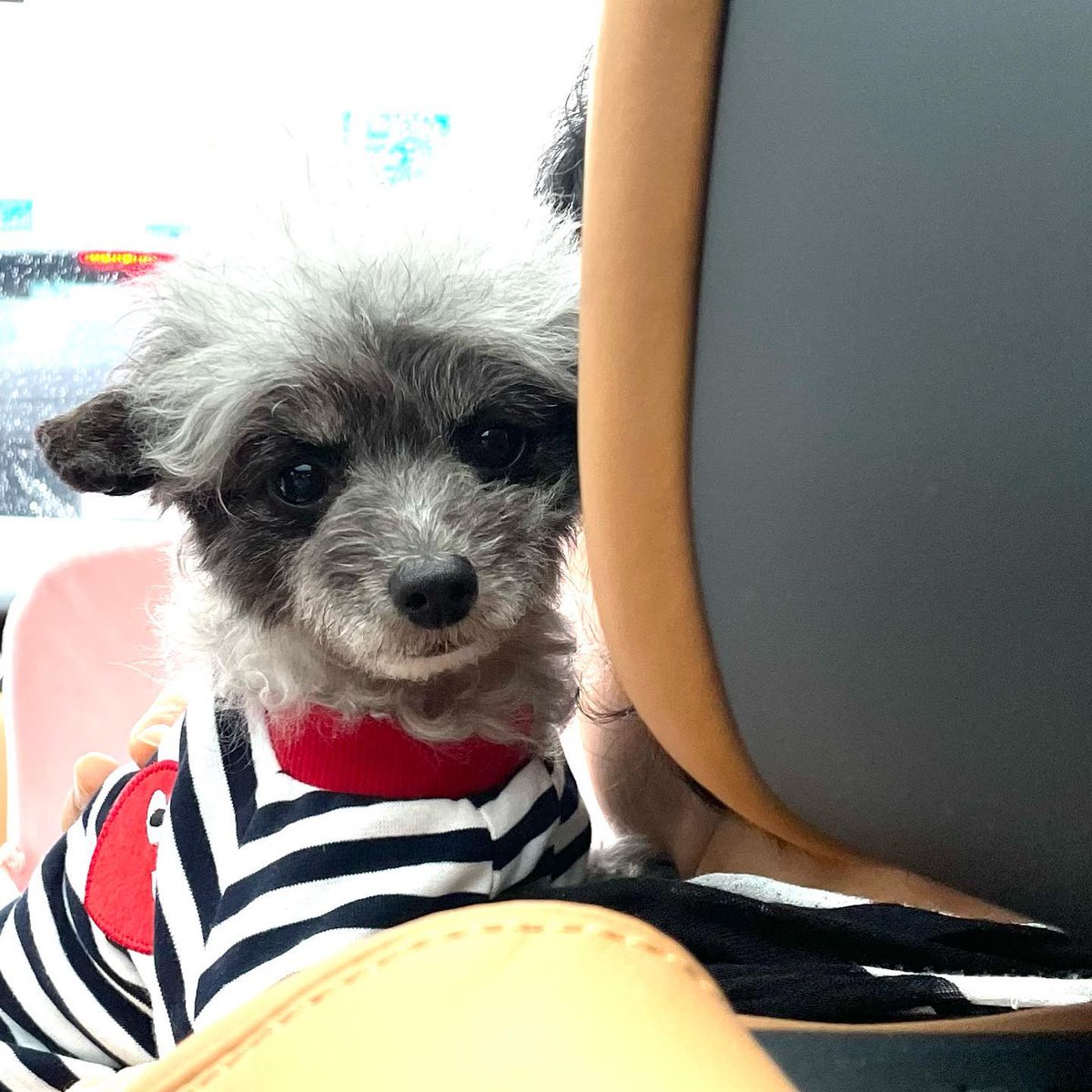 SNSD_0805's tweet image. [INSTAGRAM] dooeyuri:

용맹해졌네 뚜이 ?!

#dooe

instagram.com/p/CbRNz3rBeKv/