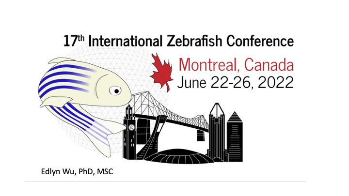 Hi, I think every #zebrafish researcher is planning to go to #IZFC2022 in Montreal -  registration is now open! Looking forward to fantastic science and catching up with friends. See you there!