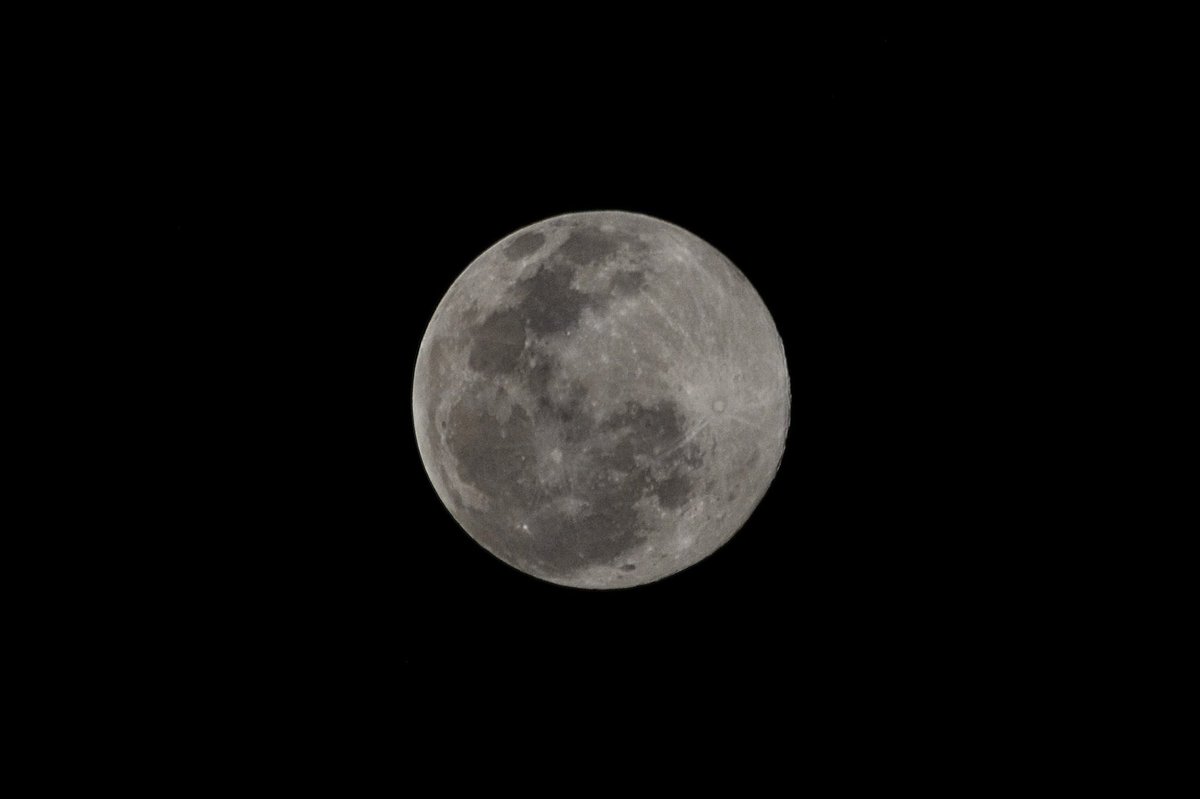 MaraLezama's tweet photo. ¡Noche de luna llena 🌕 en #QuintanaRoo! ¿Ya la viste? 😍 https://t.co/YdE95xOIoo