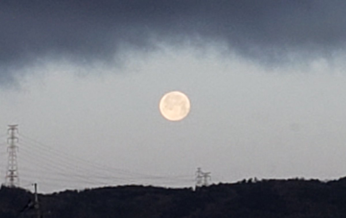 chan09615824's tweet photo. 追記

早朝、部活の大会の為出掛けた息子。はむに「ありがとう。よく頑張ったな。バイバイ」と声をかけて別れを告げた。
その息子を送る空には、昔のはむにそっくりな真ん丸の月がぽっかりと浮かんでいた。はむが旅立ってからずっと雨天や曇天だったのに…
はむを選んだ息子への最後のお礼だったのかな https://t.co/uwhX3gdtDv
