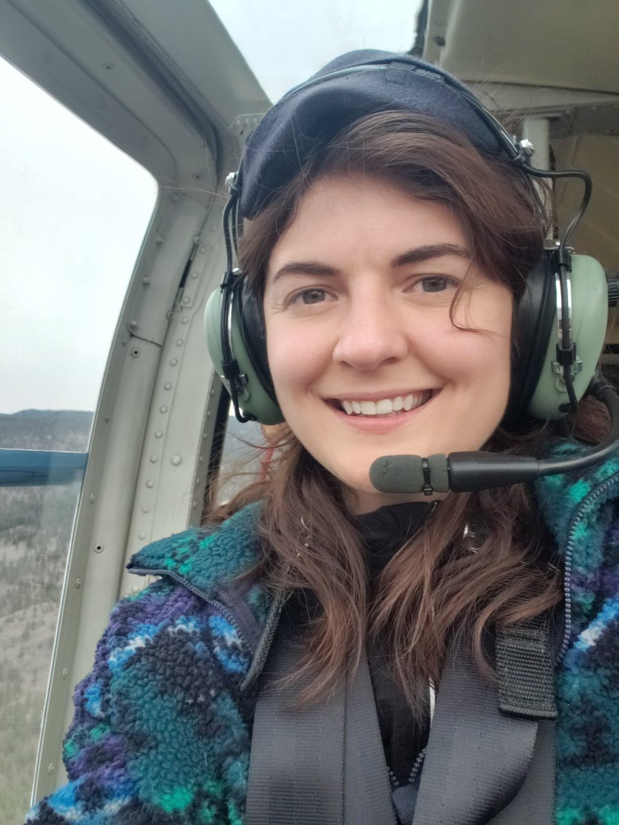 Nature_Darling's tweet photo. The cougar team had so much fun dropping in to a few kill sites today and found a cow moose and mule deer buck killed by a mating pair of collared cougars! #Heliday #SBCcougars #WiRElab https://t.co/HmSAfDBUyF