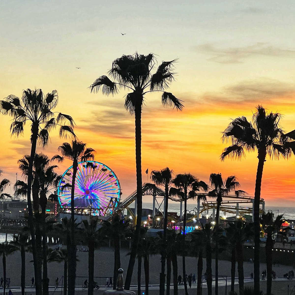 Sunset over the Santa Monica Pier. 

#santamonica #santamonicapier #sunset