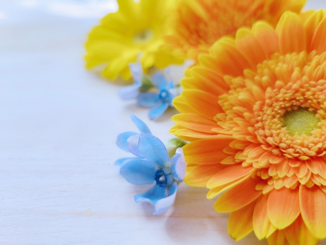 朗読 今日の名言 格言 Rodoku Meigen Twitter