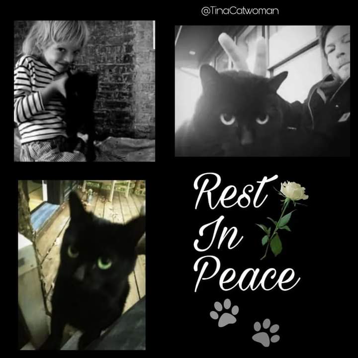 (♡Reedus♡) tweet media