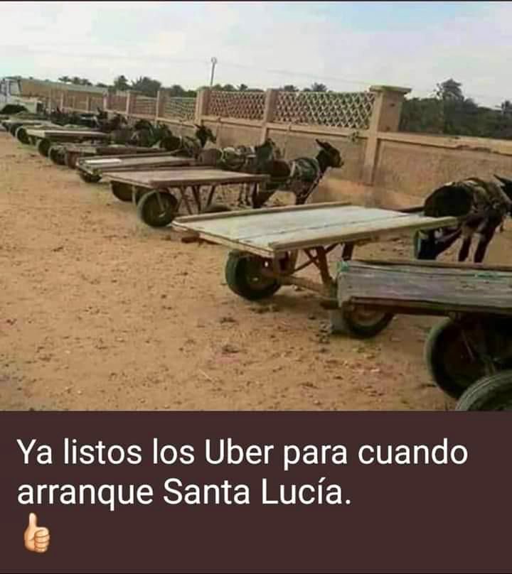 MAESTRO GUDINNI tweet media