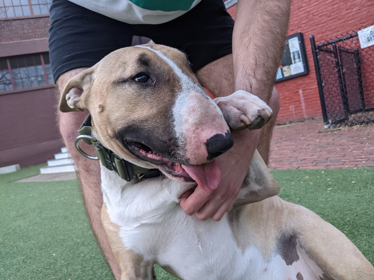 can't stop thinking about him