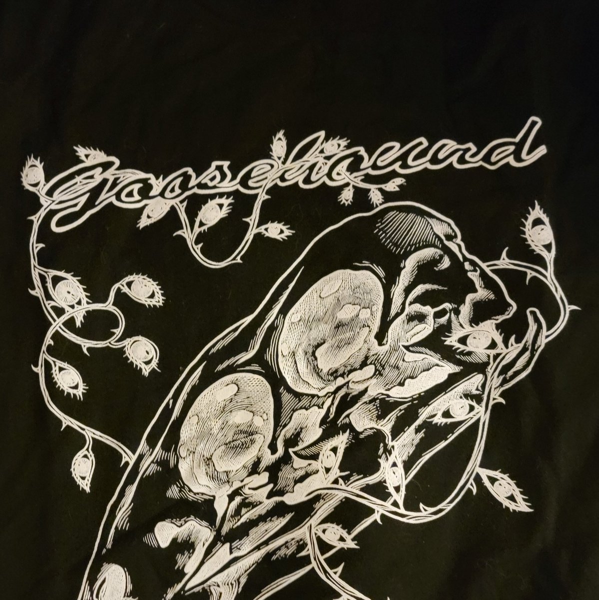 goosehound's tweet photo. We have shirts!! Message us online or come to our next show to purchase 🦆 https://t.co/oInGhj8O76