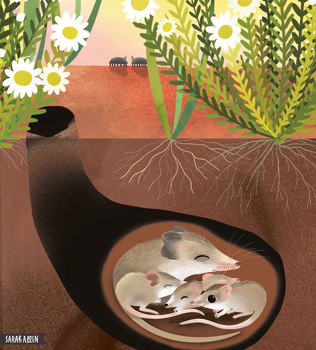 Sarah Allen Studio tweet media