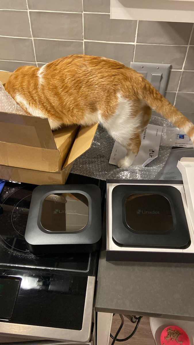 Just got my @linxdot  miners lesgoooo