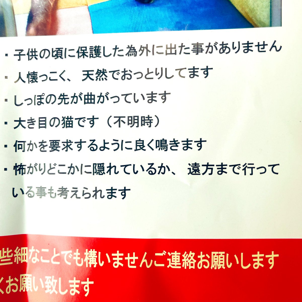 Ataru8114's tweet photo. 現場のスタッフさんの猫が
熊谷市野原 文殊寺 付近の自宅から3月7日に脱走してしまったそうです😫

ミートくん見つかりますように🥺🥺🥺

特徴に当てはまる猫の情報ある方は連絡してあげて下さい🥺🥺🥺 https://t.co/W5zrshjtfr