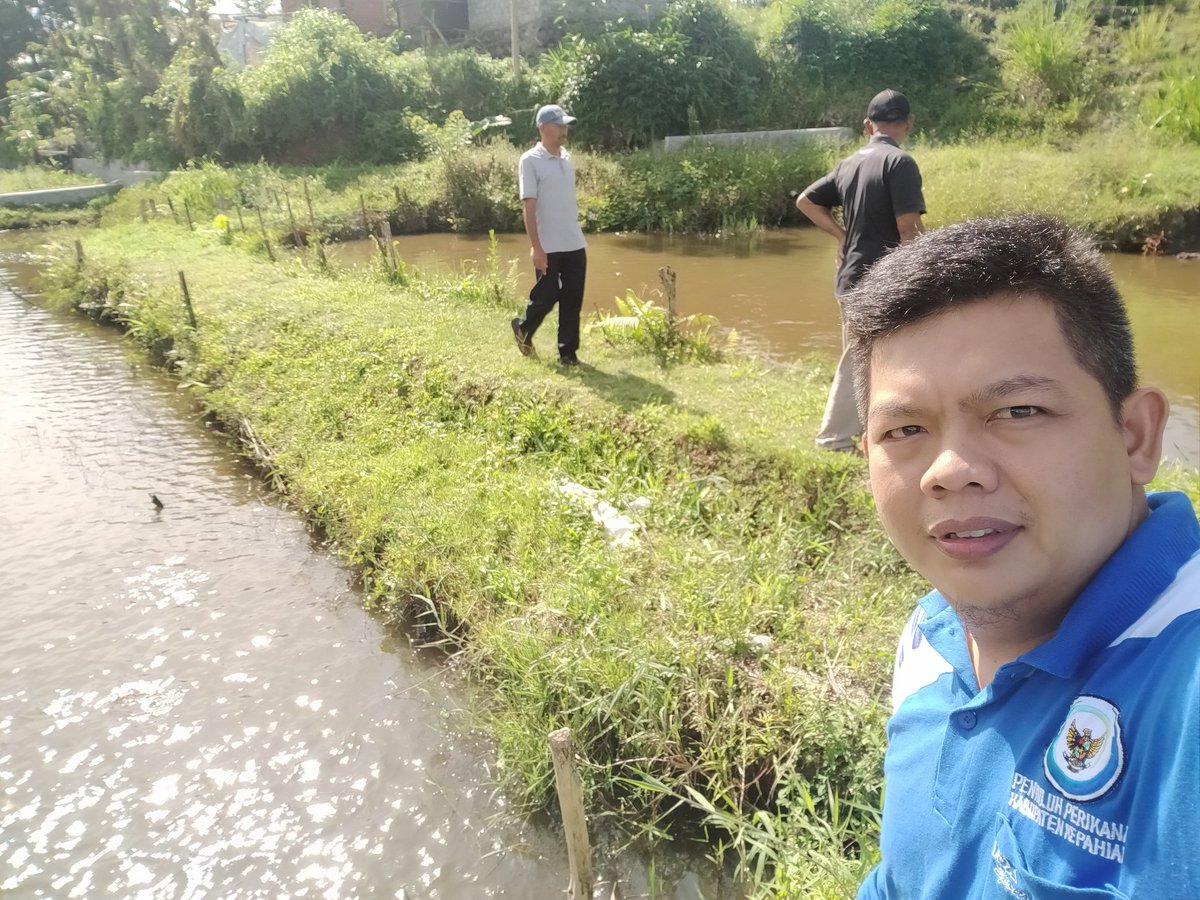 RendyAmri's tweet photo. Kamis (17/03/2022) Seluruh Penyuluh Perikanan Kab.Kepahiang menghadiri acara peresmian Kampung Perikanan Budidaya Ikan Nila di Desa Suro Ilir, Kec. Ujan Mas, Kepahiang.
@kkpgoid
@RISET_PALEMBANG
@puslatluhkp
@BudidayaKKP #GiatLuhkanSatminkalBRPPUPP https://t.co/GLFEHtOxRc