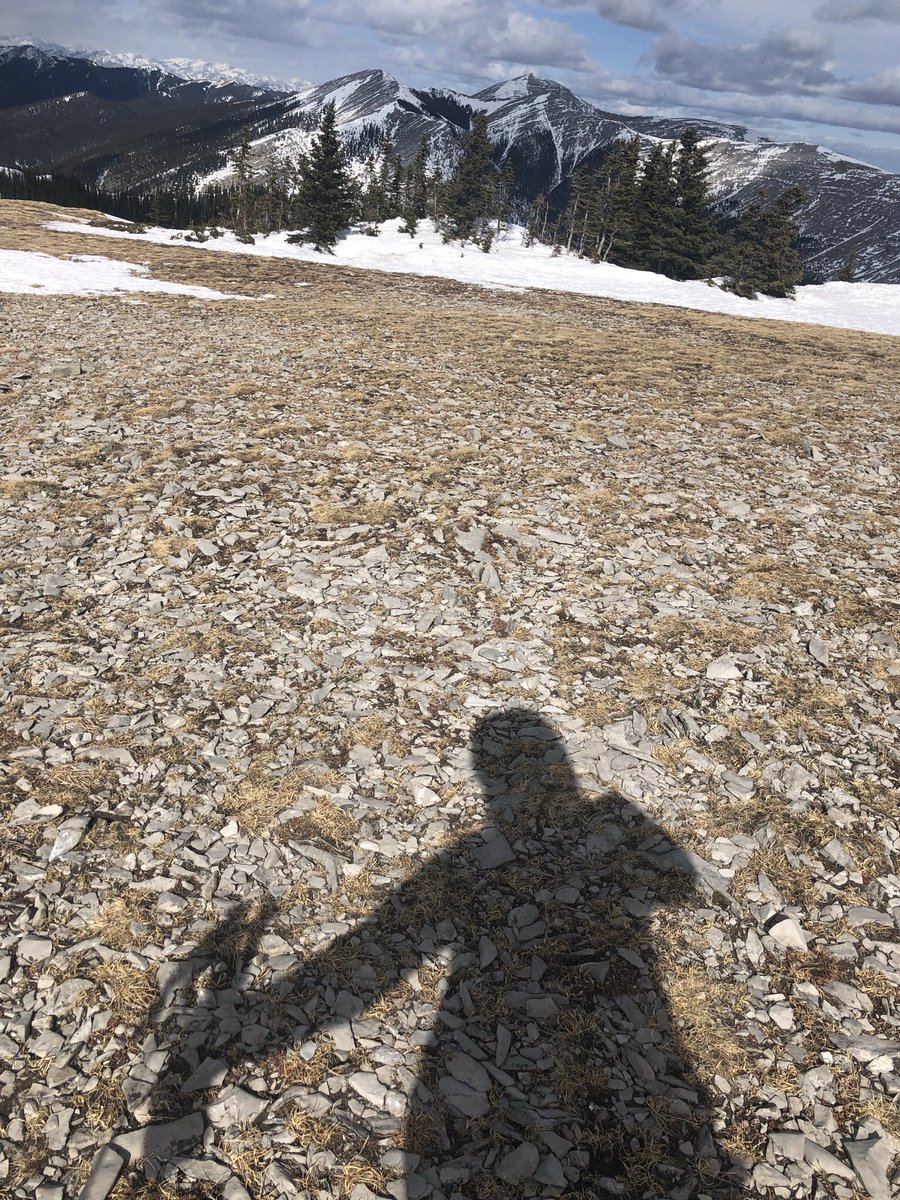 leeleesauve's tweet photo. My favourite place to cast my shadow is on top of a large hill #prairiemountain https://t.co/5fzG2WUqNc