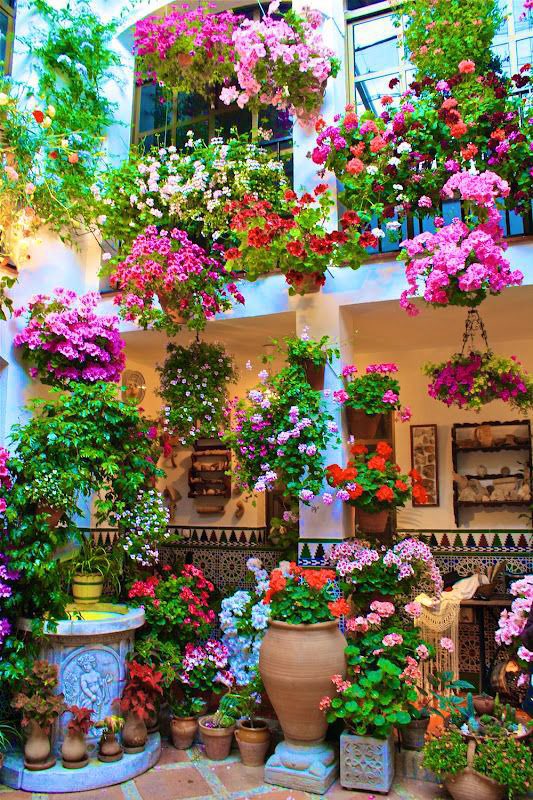 صباح الأمل بِاللَّه
والطمِأنَيِنه فِي ظِلهِ 
والثِقة بَمِا عِندَه
اللّهم أكتَب لِنا الخير
في هذا الصباح 
صباح الجوري والياسمين
@qVH7JGjTSLUu2Df