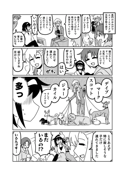 犬大好き 