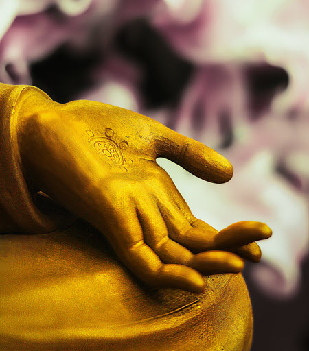 Мудры будды. Ладонь Будды. Ладонь буддизм. Пальцы Будды.