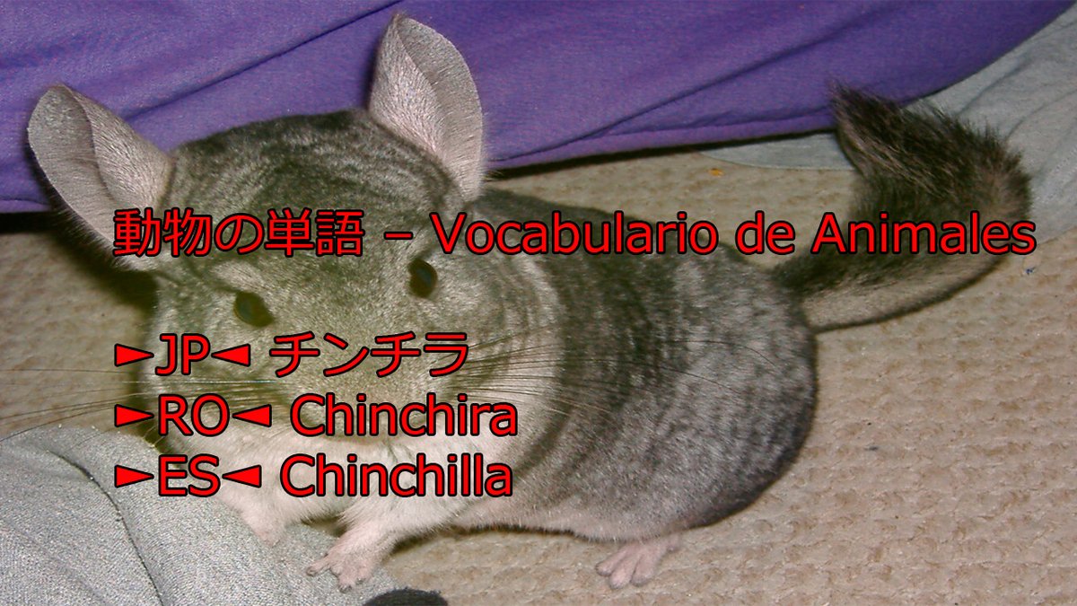 teshimide's tweet image. Aprender japonés es fácil y divertido.
@teshimide