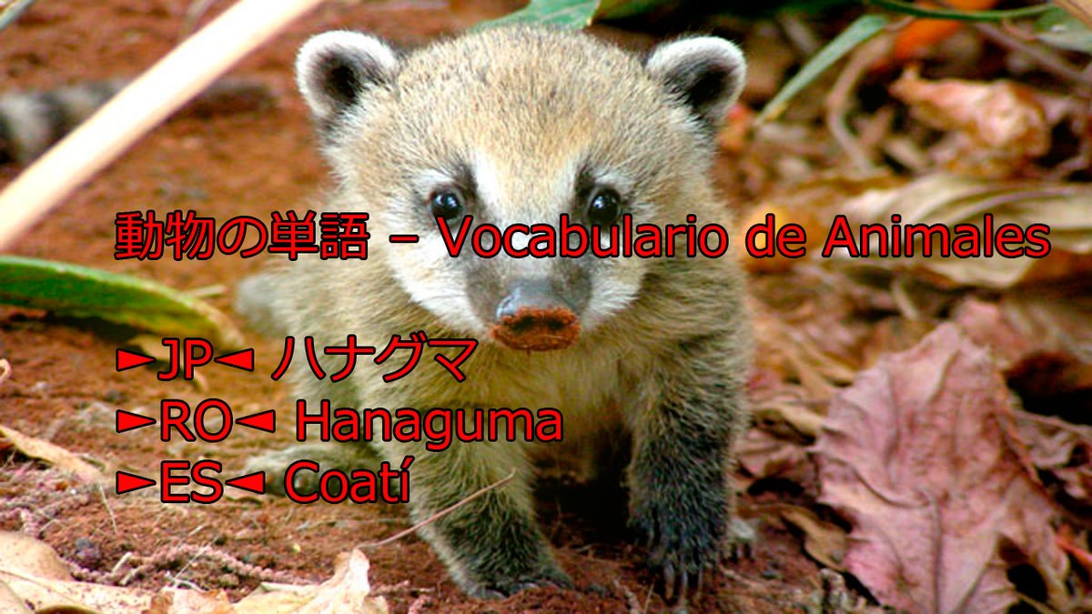 teshimide's tweet image. Aprender japonés es fácil y divertido.
@teshimide