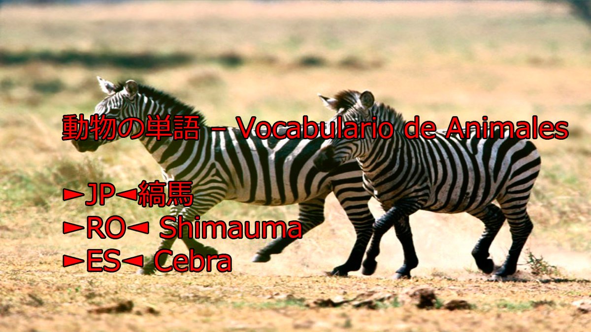 teshimide's tweet image. Aprender japonés es fácil y divertido.
@teshimide