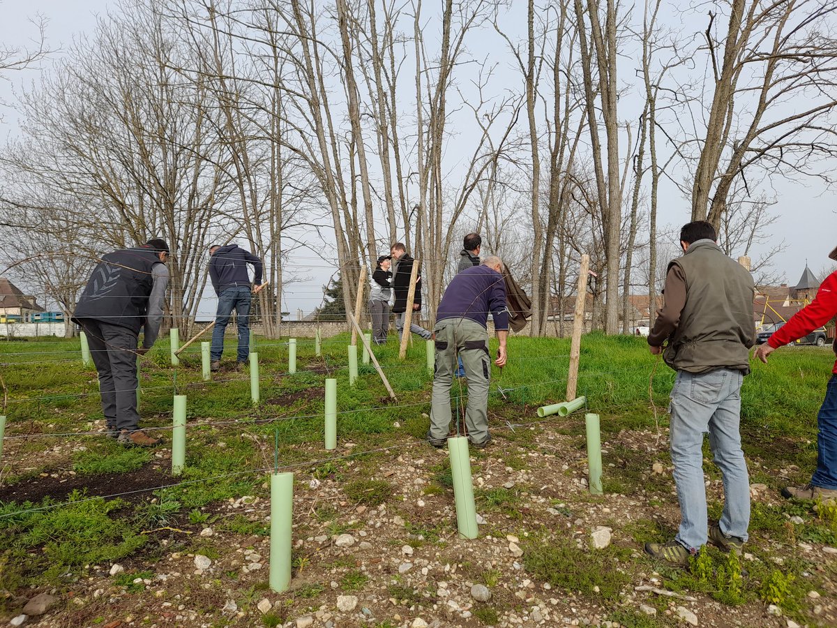 Ferrier Jean Michel tweet media