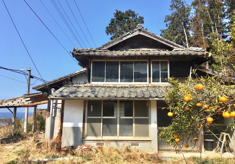 海と甘夏と古民家