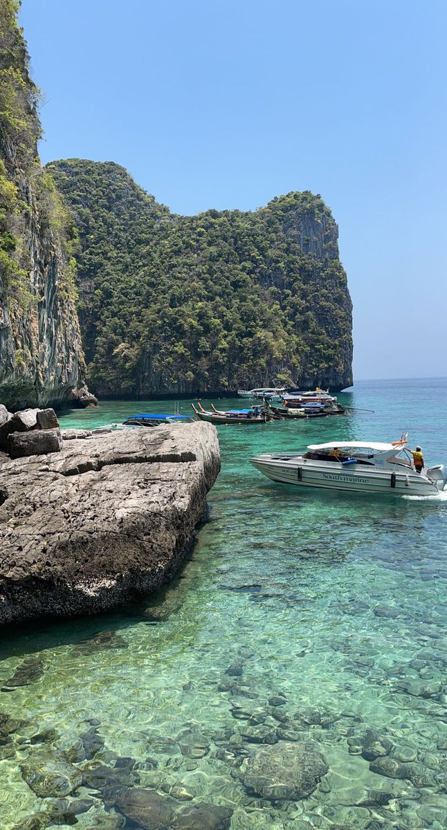 شايع الظفيري tweet media